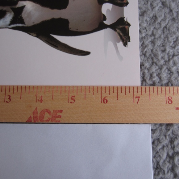 Christmas greetings card with envelopes Holidays Aminal Print Festival - Picture 5 of 9